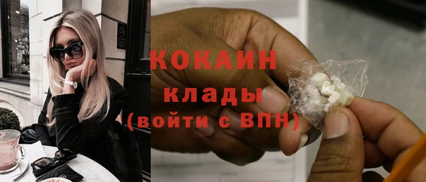 сатива Абинск