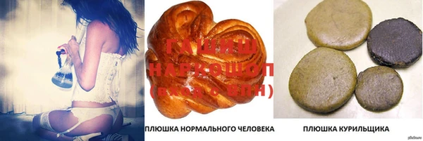 гидропоника Алзамай