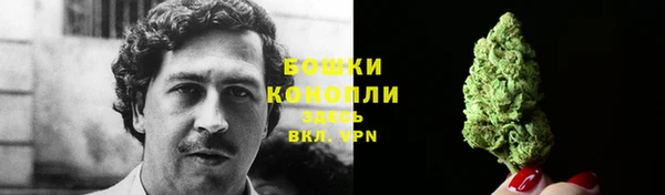 сатива Абинск