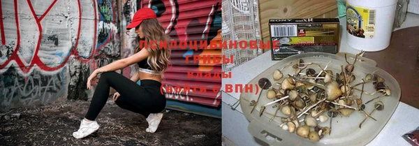 амф Абдулино