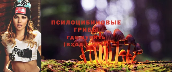 амф Абдулино