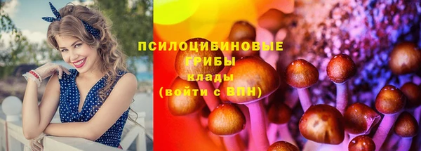 кокаин премиум Алексин