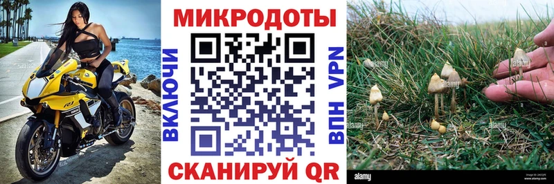 Галлюциногенные грибы Magic Shrooms  мориарти наркотические препараты  blacksprut tor  Железноводск  цены наркотик 